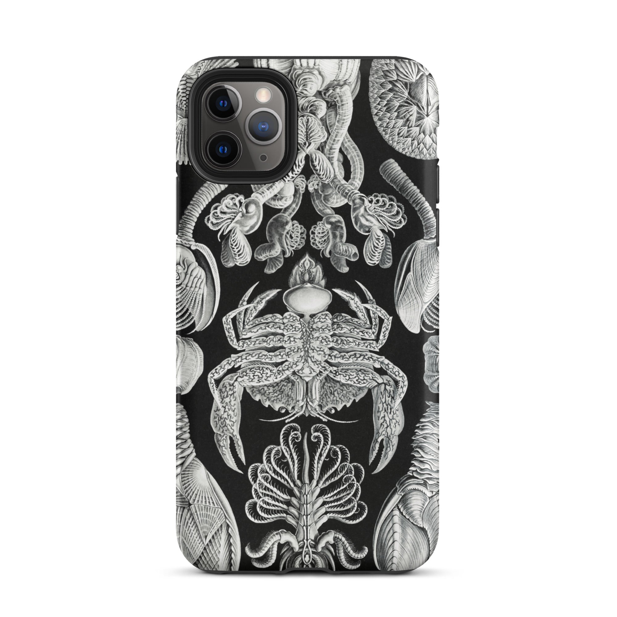 Cirripedia Barnacles Ernst Haeckel Iphone Case, 11 Pro Max / Matte, Black Phone Case Sea Creature Illustrations