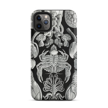 Cirripedia Barnacles - Ernst Haeckel Iphone Case, 11 Pro Max / Matte, Black Phone Case Sea Creature Illustrations