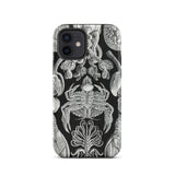Cirripedia Barnacles - Ernst Haeckel Iphone Case, 12 / Matte, Black Phone Case Sea Creature Illustrations