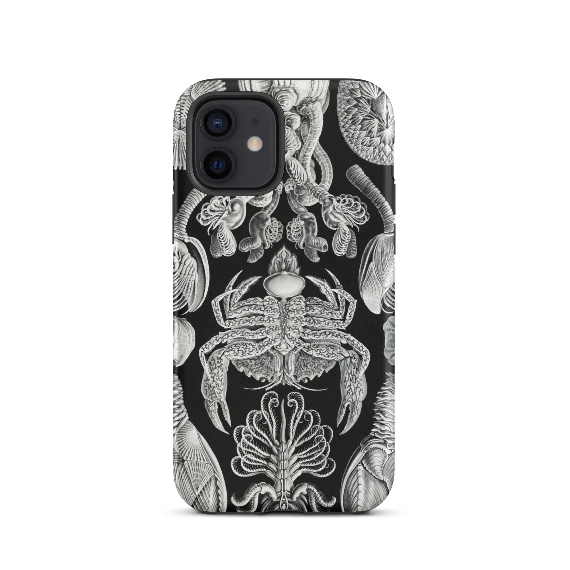 Cirripedia Barnacles Ernst Haeckel Iphone Case, 12 / Matte, Black Phone Case Sea Creature Illustrations