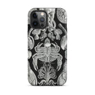 Cirripedia Barnacles Ernst Haeckel Iphone Case, 12 Pro Max / Matte, Black Phone Case Sea Creature Illustrations
