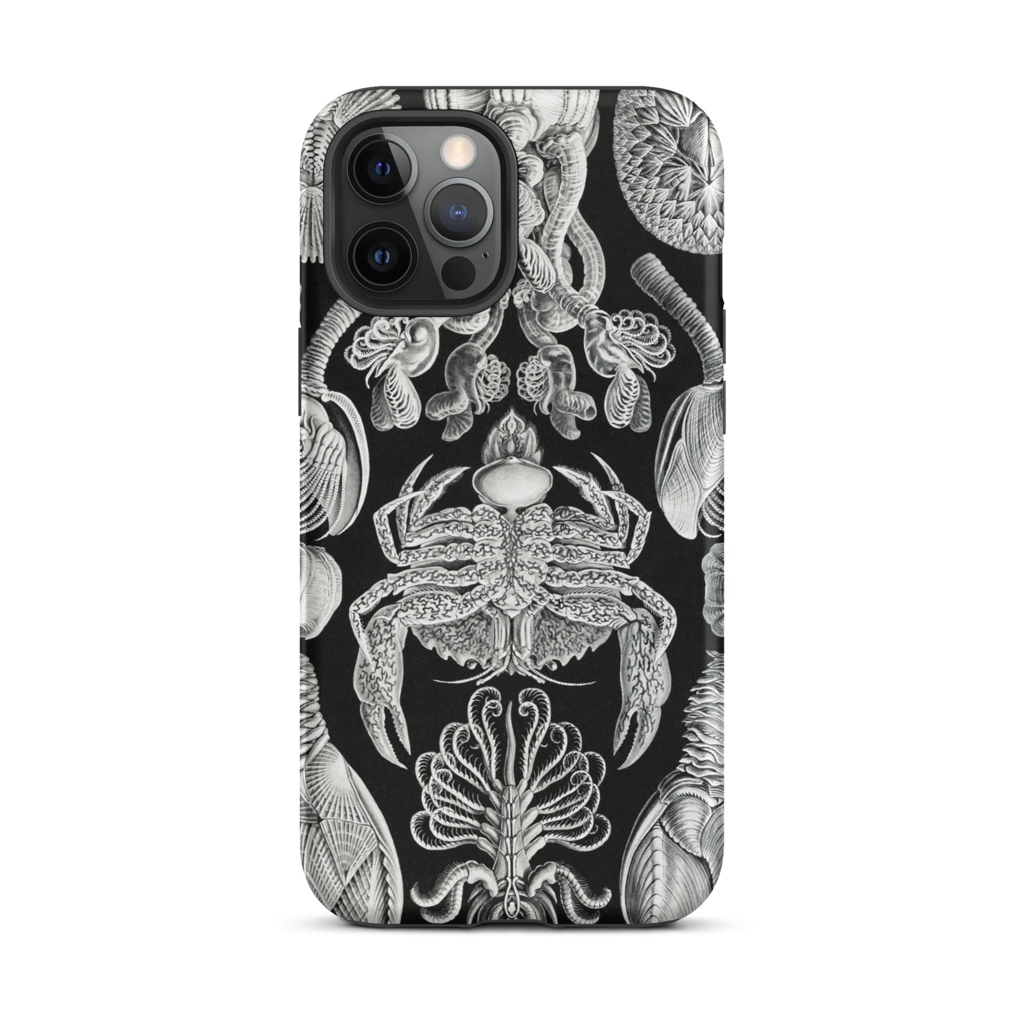 Cirripedia Barnacles Ernst Haeckel Iphone Case, 12 Pro Max / Matte, Black Phone Case Sea Creature Illustrations