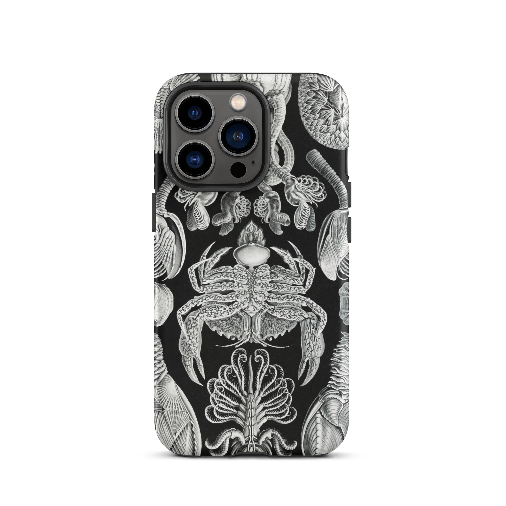Cirripedia Barnacles Ernst Haeckel Iphone Case, 13 Pro / Matte, Black Phone Case Sea Creature Illustrations