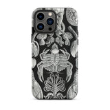 Cirripedia Barnacles - Ernst Haeckel Iphone Case, 13 Pro Max / Matte, Black Phone Case Sea Creature Illustrations