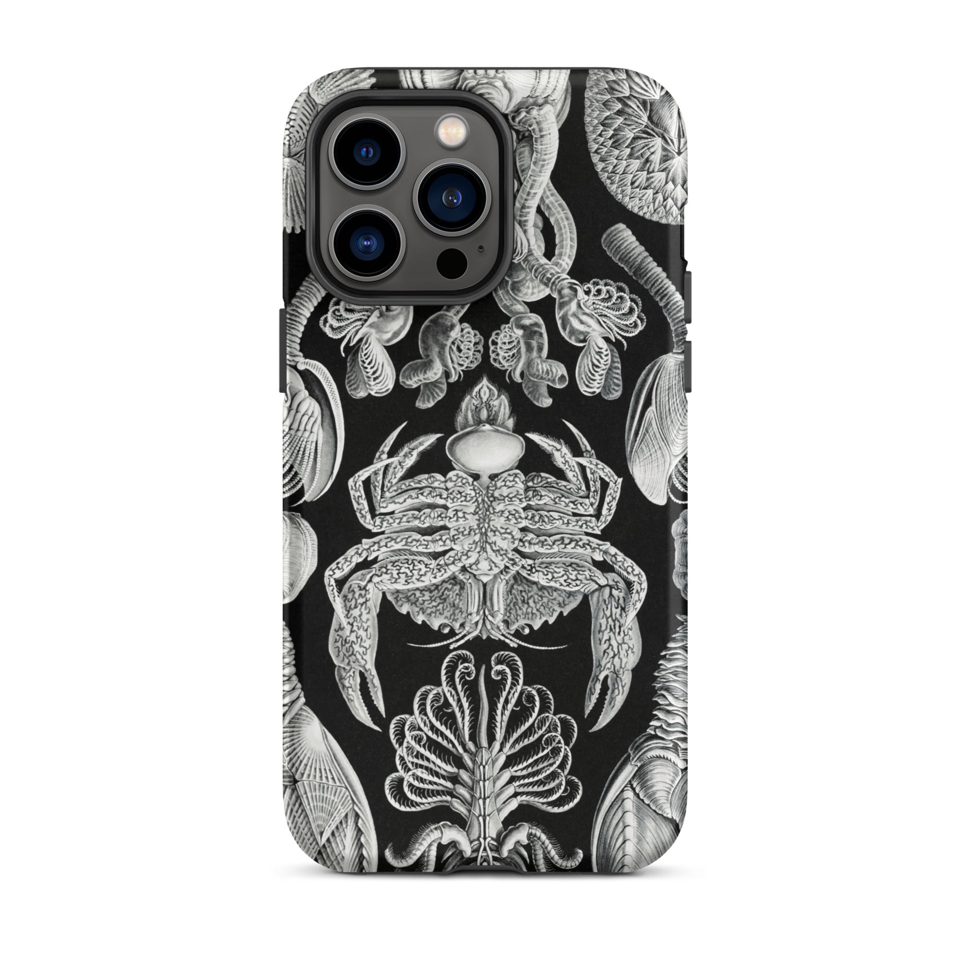 Cirripedia Barnacles Ernst Haeckel Iphone Case, 14 Pro Max / Matte, Black Phone Case Sea Creature Illustrations