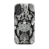Cirripedia Barnacles - Ernst Haeckel Iphone Case, 16 Plus / Matte, Black Phone Case Sea Creature Illustrations