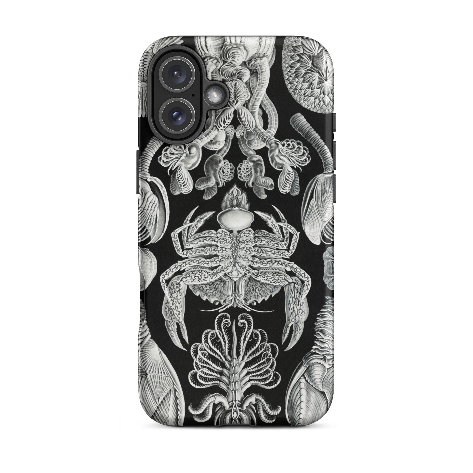 Cirripedia Barnacles Ernst Haeckel Iphone Case, 16 Plus / Matte, Black Phone Case Sea Creature Illustrations