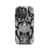 Cirripedia Barnacles - Ernst Haeckel Iphone Case, 16 Pro / Matte, Black Phone Case Sea Creature Illustrations