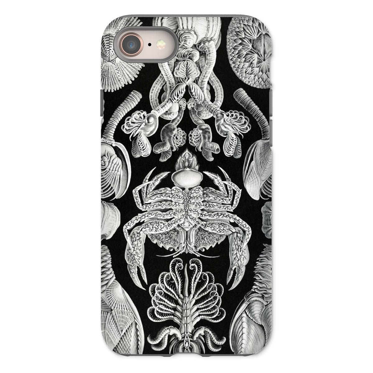 Cirripedia Barnacles Ernst Haeckel Iphone Case, 8 / Matte, Black White Sea Creature Phone Case