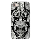 Cirripedia Barnacles - Ernst Haeckel Iphone Case, 8 / Matte, Black White Sea Creature Phone Case