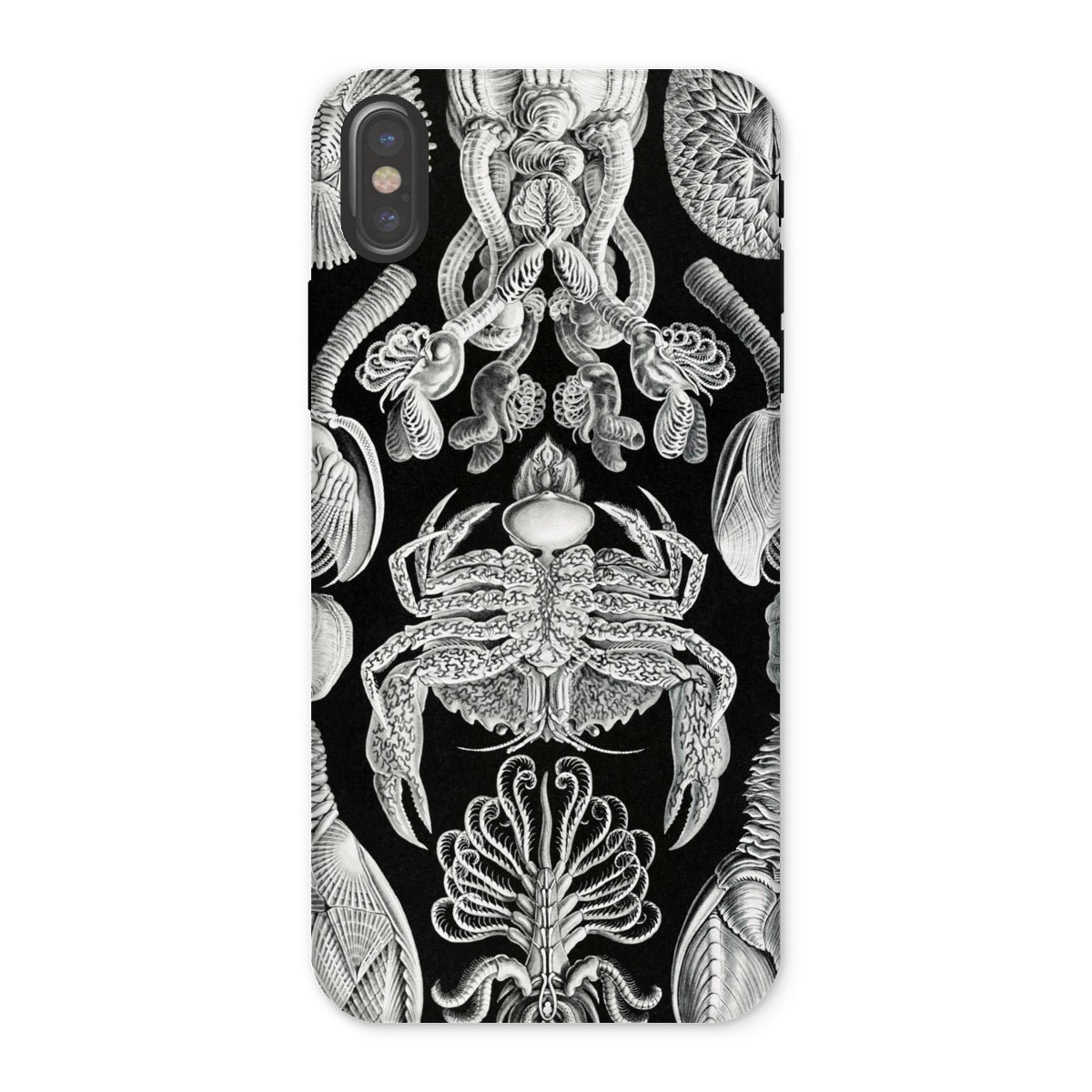 Cirripedia Barnacles Ernst Haeckel Iphone Case, x / Matte, Black White Sea Creature Phone Case