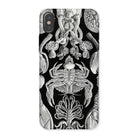 Cirripedia Barnacles Ernst Haeckel Iphone Case, x / Matte, Black White Sea Creature Phone Case
