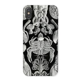 Cirripedia Barnacles - Ernst Haeckel Iphone Case, x / Matte, Black White Sea Creature Phone Case