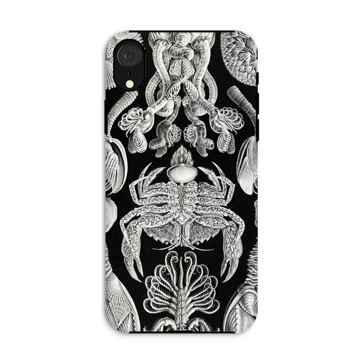 Cirripedia Barnacles Ernst Haeckel Iphone Case, Xr / Matte, Black Phone Case White Sea Creature Illustrations