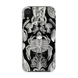 Cirripedia Barnacles - Ernst Haeckel Iphone Case, Xr / Matte, Black Phone Case White Sea Creature Illustrations