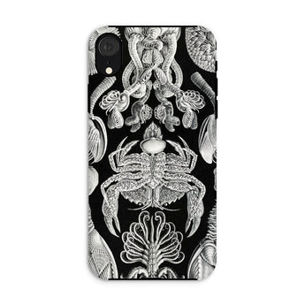Cirripedia Barnacles - Ernst Haeckel Iphone Case, Xr / Matte, Black Phone Case White Sea Creature Illustrations