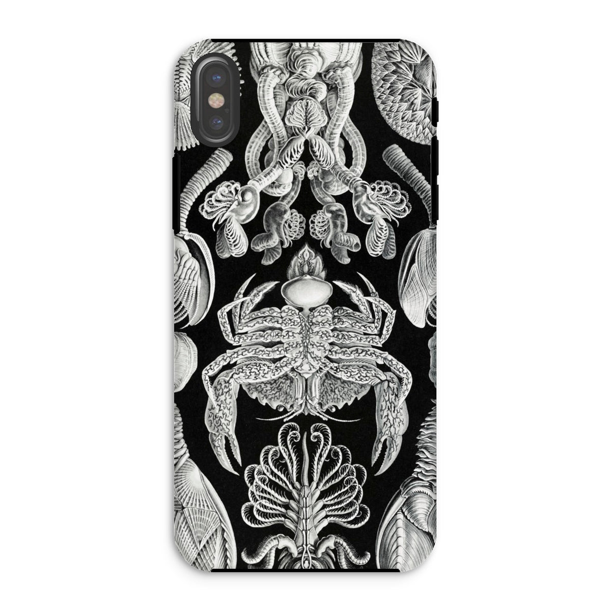 Cirripedia Barnacles Ernst Haeckel Iphone Case, Xs / Matte, Black Phone Case White Sea Creature Pattern