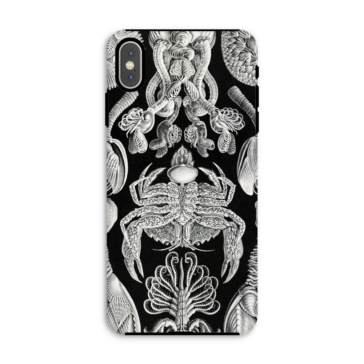 Cirripedia Barnacles Ernst Haeckel Iphone Case, Xs Max / Matte, Black White Sea Creature Phone Case