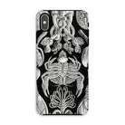 Cirripedia Barnacles Ernst Haeckel Iphone Case, Xs Max / Matte, Black White Sea Creature Phone Case