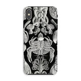 Cirripedia Barnacles - Ernst Haeckel Iphone Case, Xs Max / Matte, Black White Sea Creature Phone Case