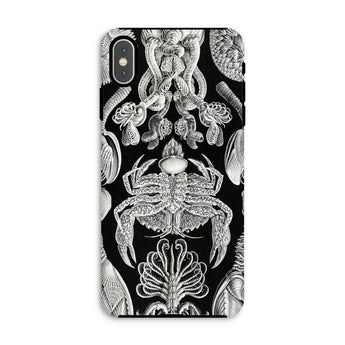 Cirripedia Barnacles - Ernst Haeckel Iphone Case, Xs Max / Matte, Black White Sea Creature Phone Case