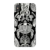 Cirripedia Barnacles - Ernst Haeckel Phone Case Iphone x / Matte Black White Sea Creature Phone Case Obsidians Chamber, Haeckel Iphone