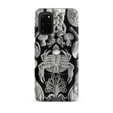 Cirripedia Barnacles - Ernst Haeckel Phone Case, Samsung Galaxy S20 Plus / Matte, Mobile Cases, Toby Leon