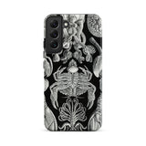 Cirripedia Barnacles - Ernst Haeckel Phone Case Samsung Galaxy S22 Plus / Matte Black Phone Case Intricate White Line Art Marine Obsidians