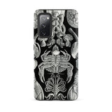 Cirripedia Barnacles - Ernst Haeckel Samsung Case, Galaxy S20 Fe / Matte, Black Smartphone Case White Scientific Illustrations Marine Life