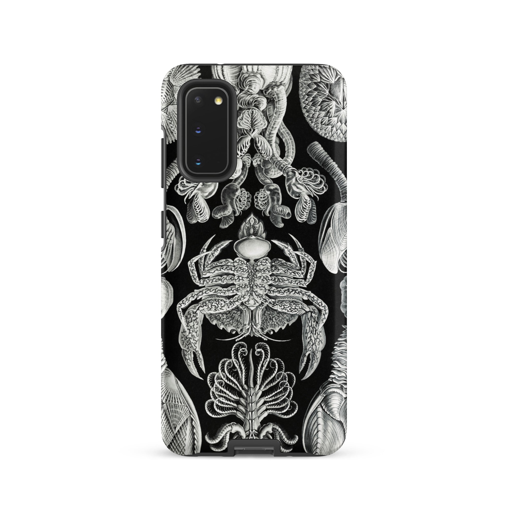 Cirripedia Barnacles Ernst Haeckel Samsung Case, Galaxy S20 / Matte, Black Phone Case White Intricate Sea Creature Illustrations