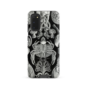 Cirripedia Barnacles - Ernst Haeckel Samsung Case, Galaxy S20 / Matte, Black Phone Case White Intricate Sea Creature Illustrations