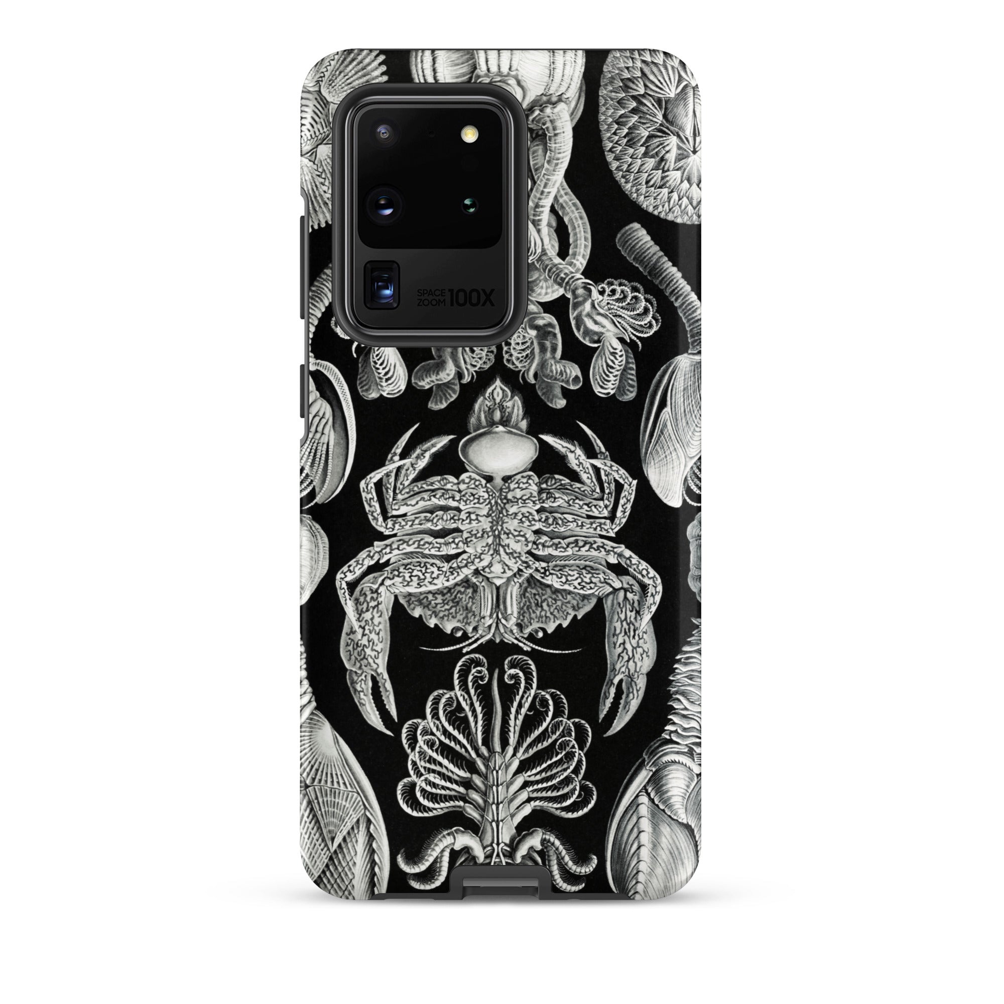 Cirripedia Barnacles Ernst Haeckel Samsung Case, Galaxy S20 Ultra / Matte, Black Phone Case White Illustrations Marine Life