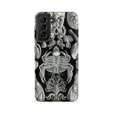 Cirripedia Barnacles - Ernst Haeckel Samsung Case, Galaxy S21 Fe / Matte, Black Smartphone Case White Intricate Illustrations Marine Life