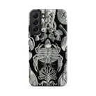 Cirripedia Barnacles Ernst Haeckel Samsung Case, Galaxy S22 Plus / Matte, Phone Case Black White Print Marine Life Prominent