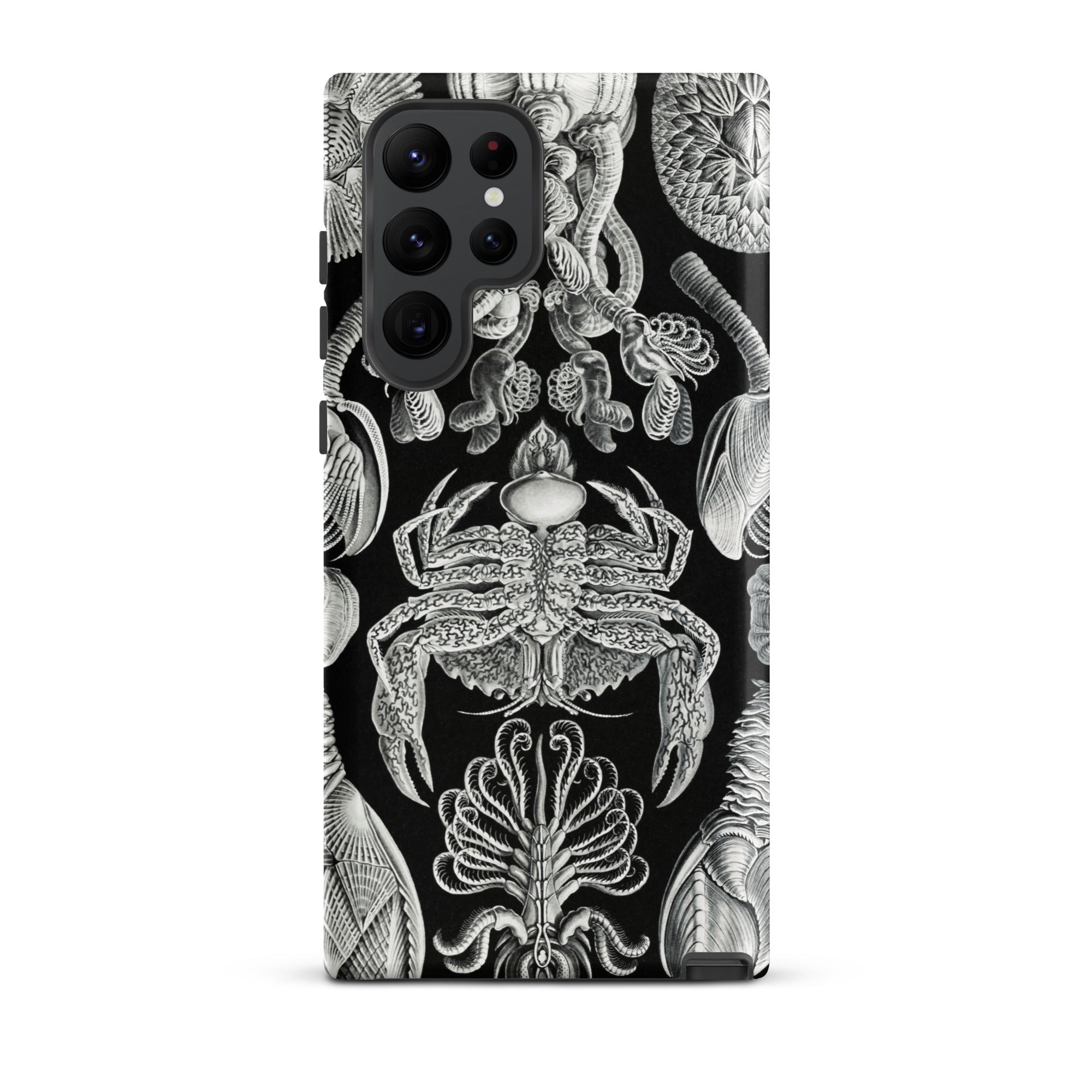 Cirripedia Barnacles Ernst Haeckel Samsung Case, Galaxy S22 Ultra / Matte, Black Smartphone Case White Intricate Pattern Sea Creatures