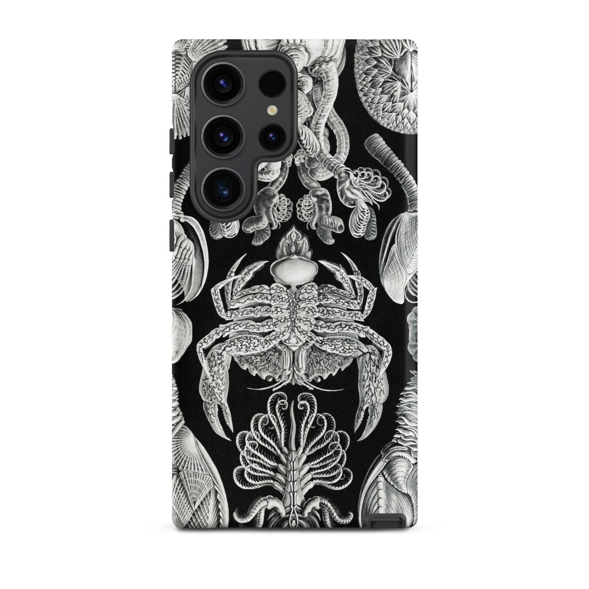 Cirripedia Barnacles Ernst Haeckel Samsung Case, Galaxy S23 Ultra / Matte, Phone Case Black White Pattern Marine Life Illustrations