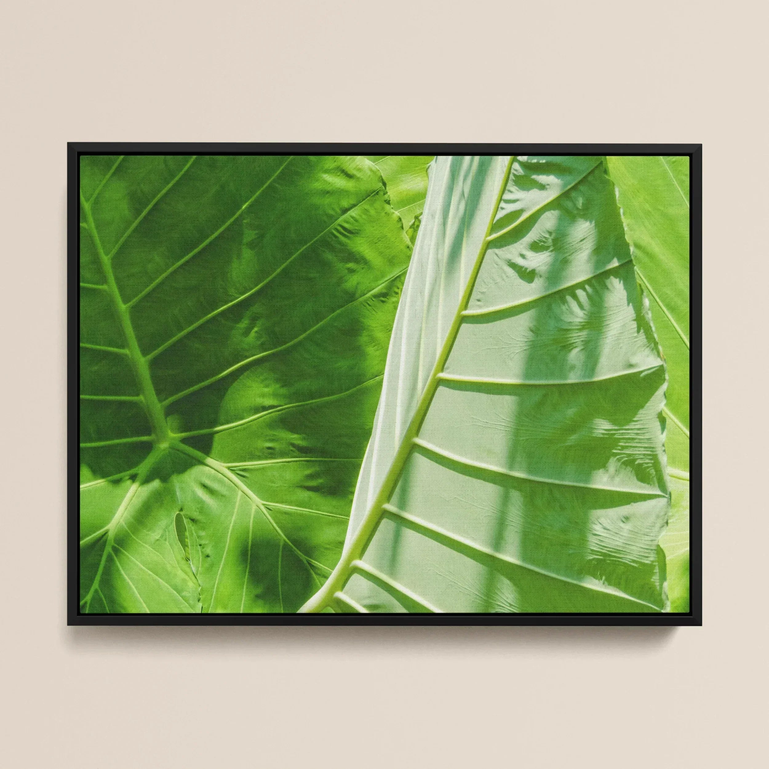 Clash of the Hulks - Koh Chang Botanical Framed Canvas, Close-up Vibrant Green Tropical Leaves Prominent Veins Stems