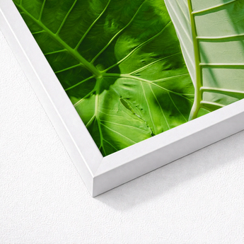 White-framed Artwork Close-up Vibrant Green Tropical Leaves Intricate Koh Chang’s Lush Botanical Paradise, Chang Botanicals, Thailand