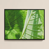 Clash of the Hulks - Koh Chang Botanicals Art Print / Canvas Framed Artwork Close-up Vibrant Green Tropical Leaves Prominent Koh Chang’s