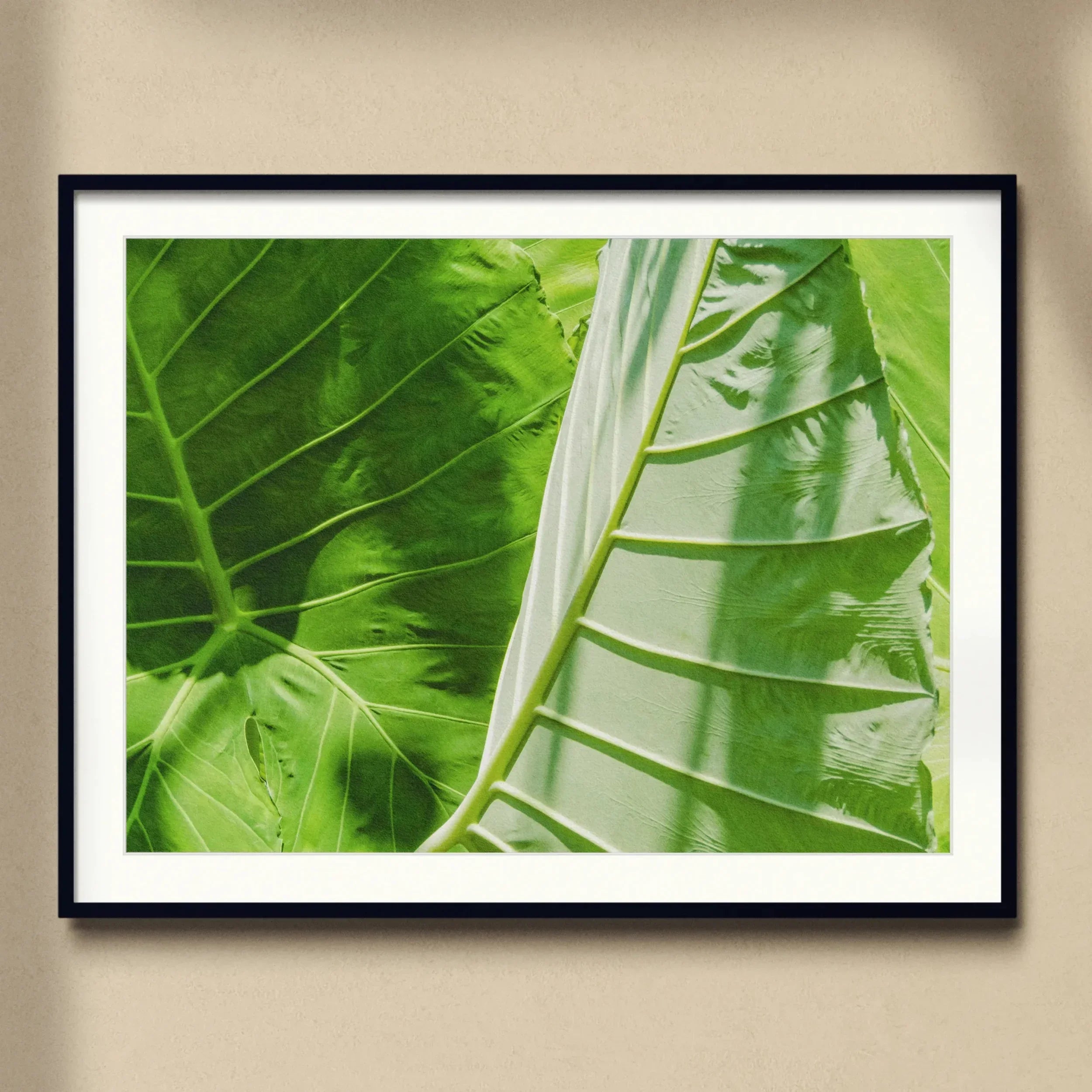 Clash of the Hulks - Koh Chang Botanicals Art Print Posters Prints & Visual Artwork