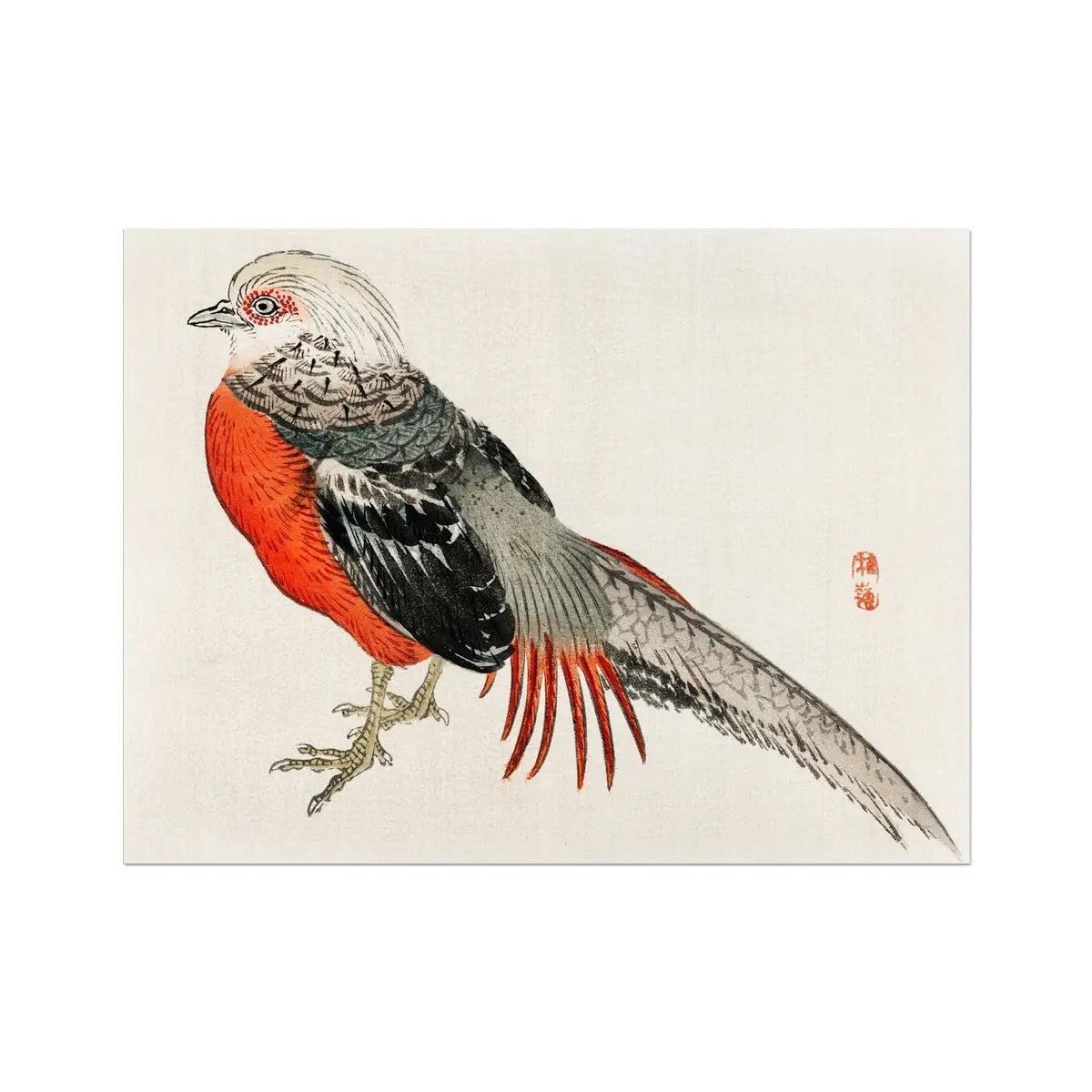 Japanese Pheasant - Kōno Bairei Kacho-e Art Print Posters Prints & Visual Artwork