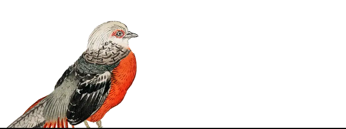 Colorful bird perched art print by Taguchi Tomoki featuring Kōno Bairei style for history fans