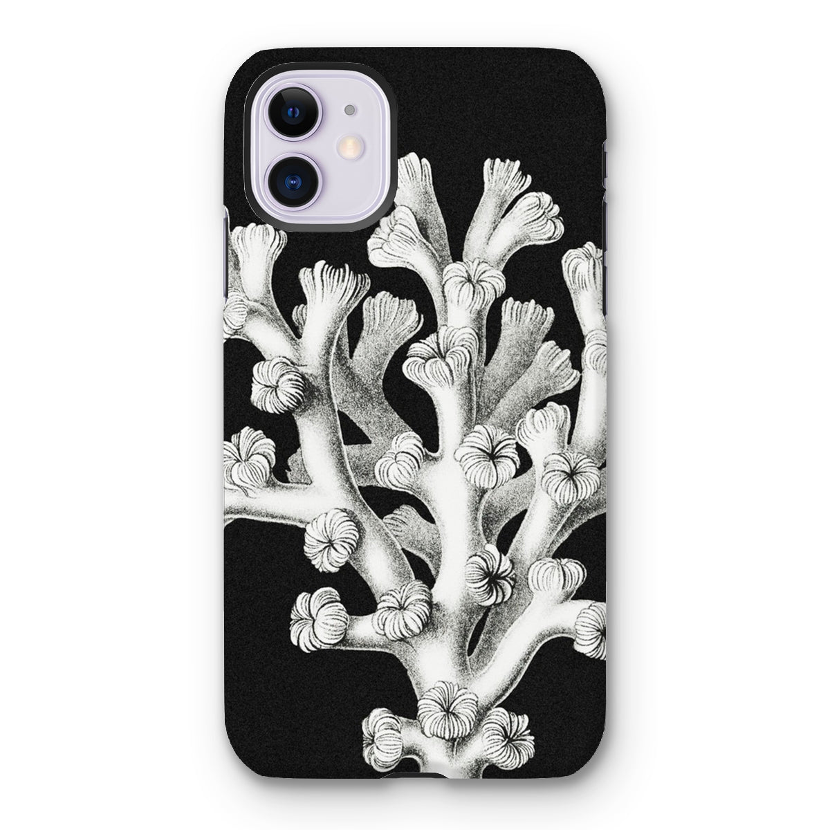 Coral - Ernst Haeckel Marine Life Illustration Iphone Case, 11 / Matte, Black Phone Case White Coral Design