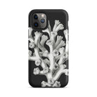 Coral Ernst Haeckel Marine Life Illustration Iphone Case, 11 Pro / Matte, Black Phone Case Coral Design