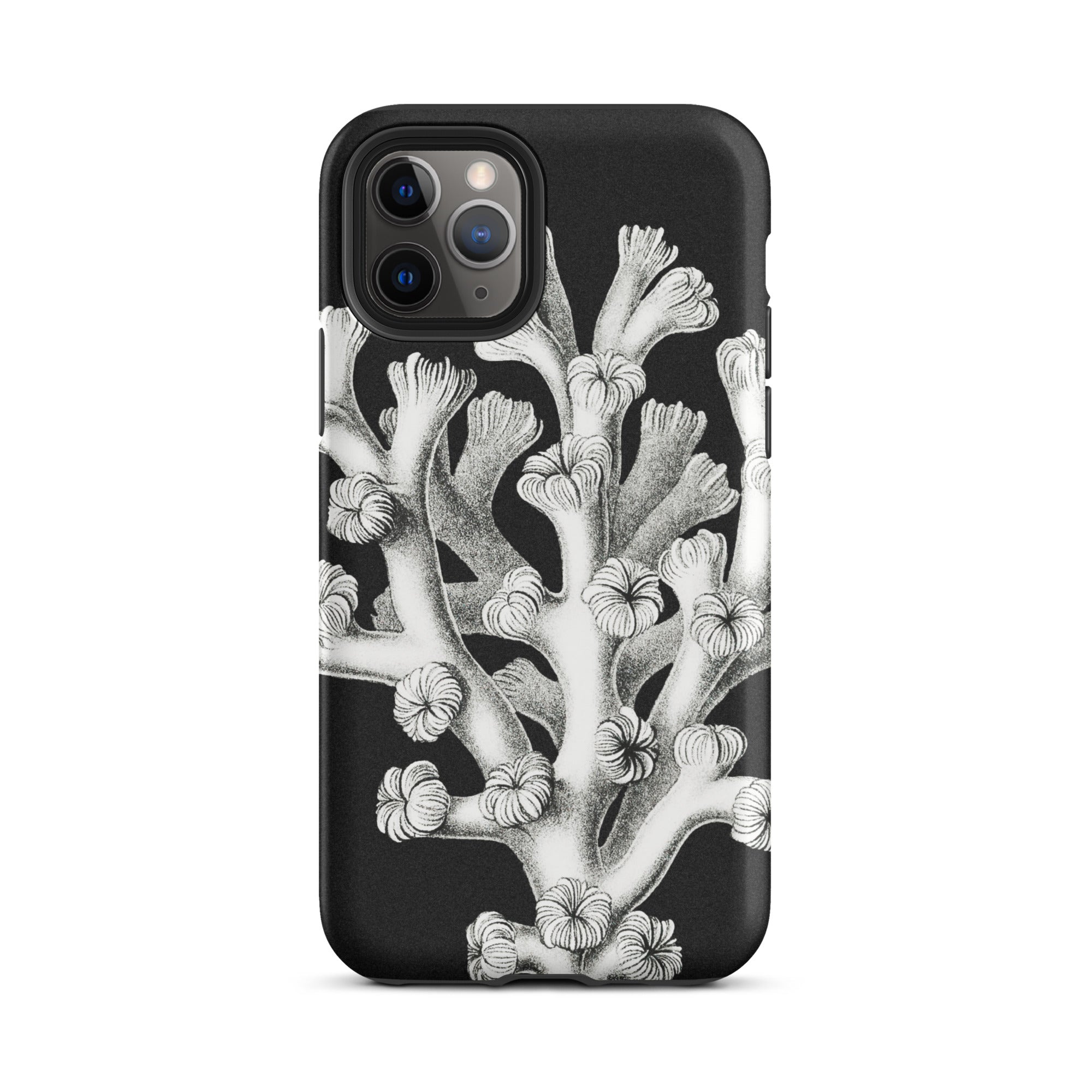 Coral Ernst Haeckel Marine Life Illustration Iphone Case, 11 Pro / Matte, Black Phone Case Coral Design