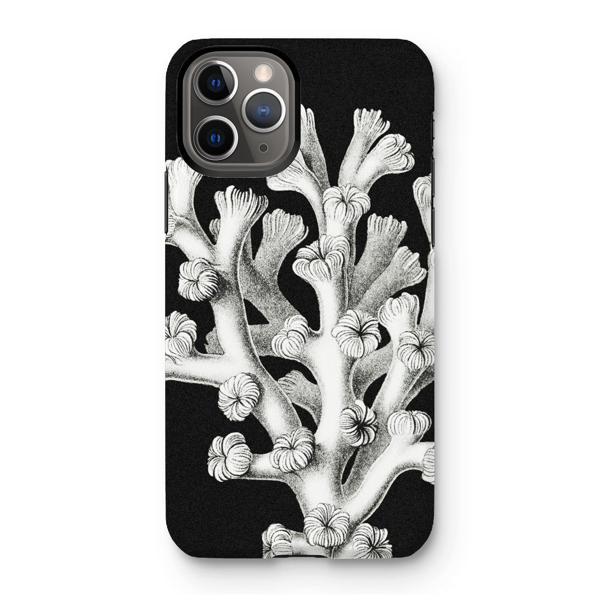 Coral - Ernst Haeckel Marine Life Illustration Iphone Case, 11 Pro / Matte, Black Phone Case Coral Design