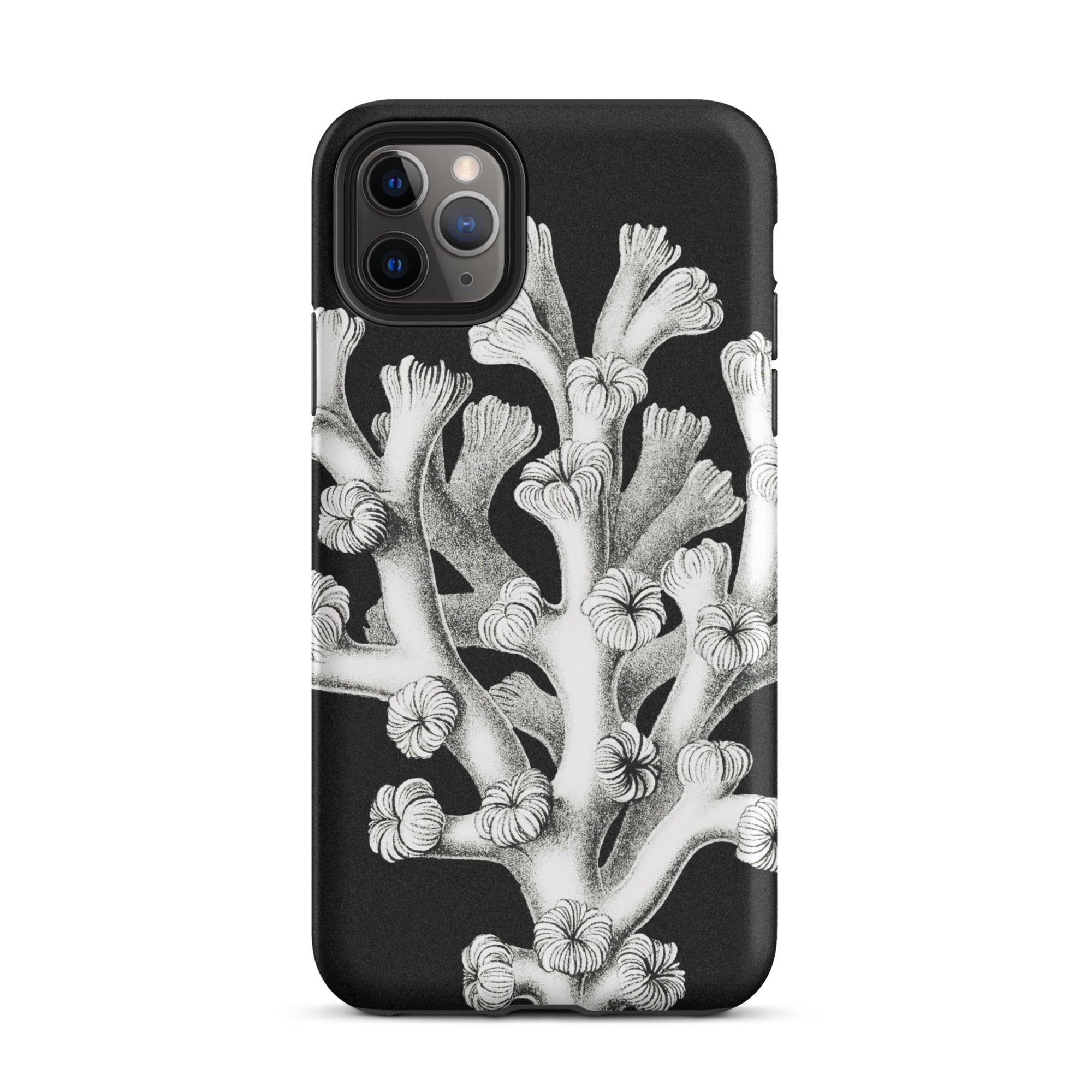 Coral Ernst Haeckel Marine Life Illustration Iphone Case, 11 Pro Max / Matte, Black Phone Case Coral Design