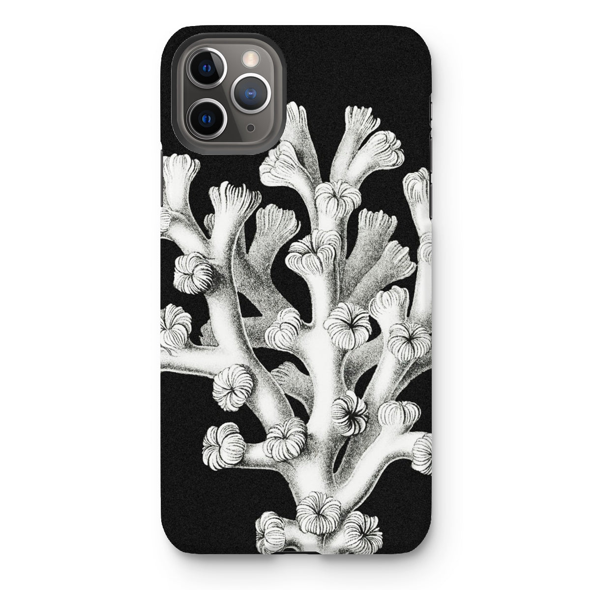 Coral - Ernst Haeckel Marine Life Illustration Iphone Case, 11 Pro Max / Matte, Black Phone Case Coral Design