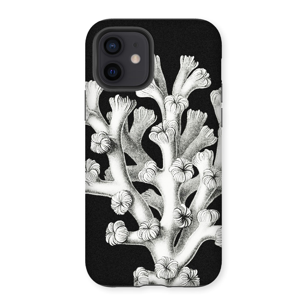 Coral - Ernst Haeckel Marine Life Illustration Iphone Case, 12 / Matte, Black Phone Case Coral Design