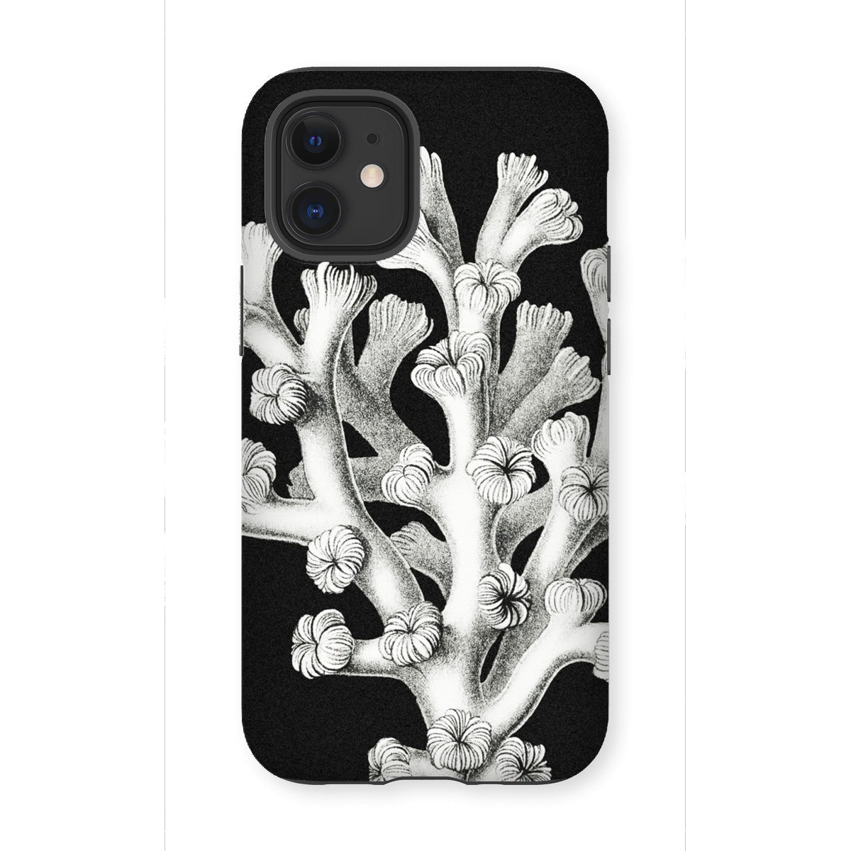 Coral - Ernst Haeckel Marine Life Illustration Iphone Case, 12 Mini / Matte, Black Phone Case Coral Design